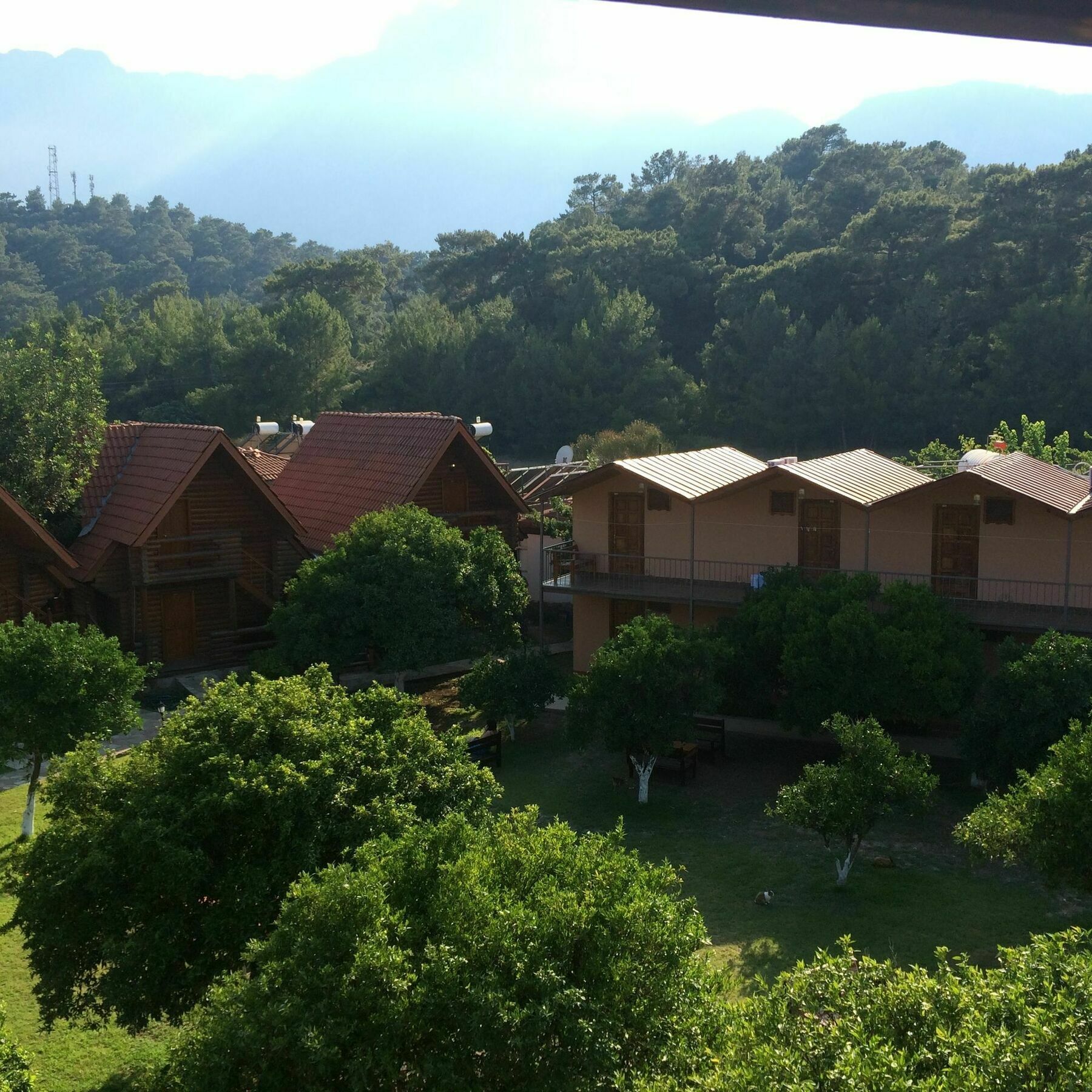 Woodline Hotel Göynük Zewnętrze zdjęcie